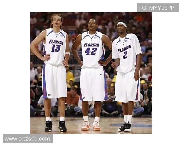 霍福德等三位新援加盟勇士整体实力大幅提升展望未来更具竞争力